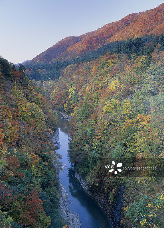 日本秋田县汤泽市小安峡的秋叶图片素材