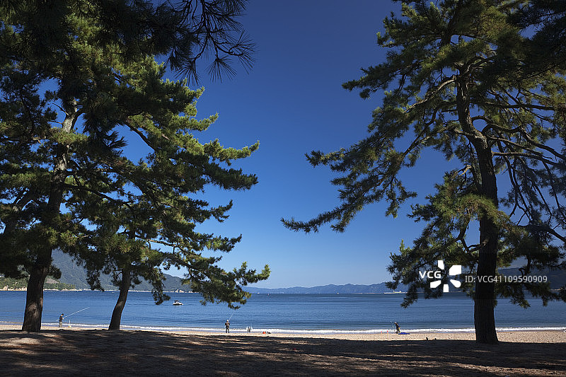 日本福井县敦贺市气比松原海滩图片素材