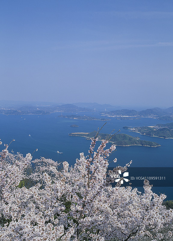 日本广岛三原的樱花和艺予群岛图片素材