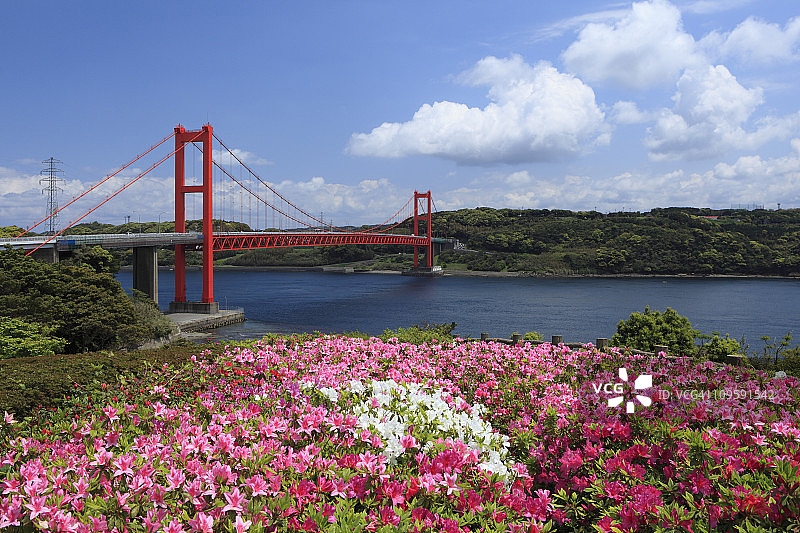 日本长崎平户大桥和杜鹃花图片素材