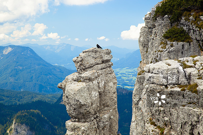 在奥地利阿尔卑斯山石堆上的乌鸦图片素材