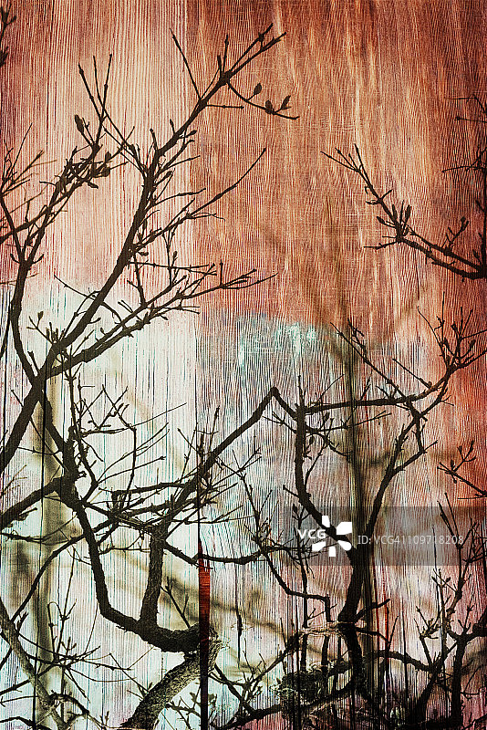 彩绘木纹上的树枝轮廓光影图片素材