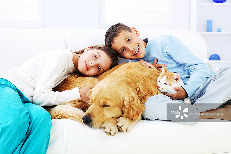 微笑的儿童拥抱熟睡的猫和狗图片素材