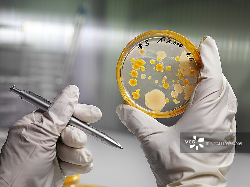在生物实验室进行科学研究图片素材