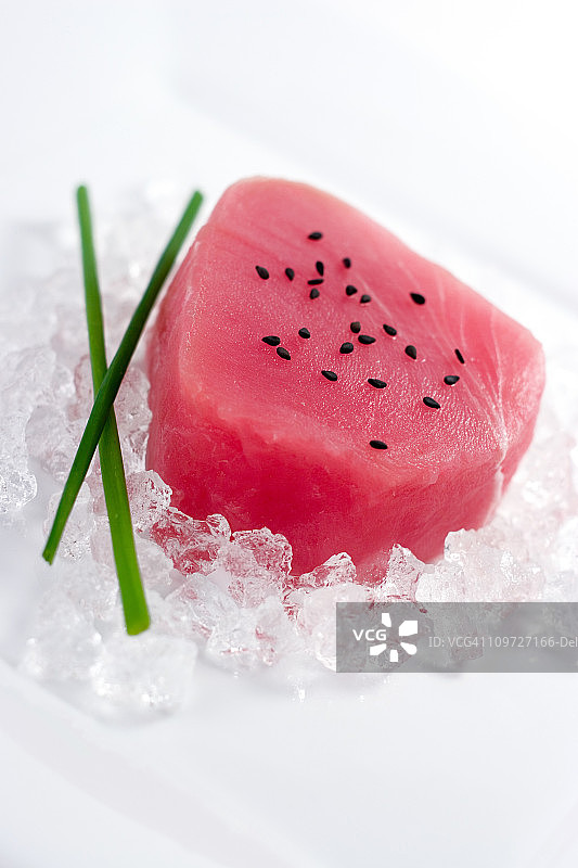 金枪鱼图片素材