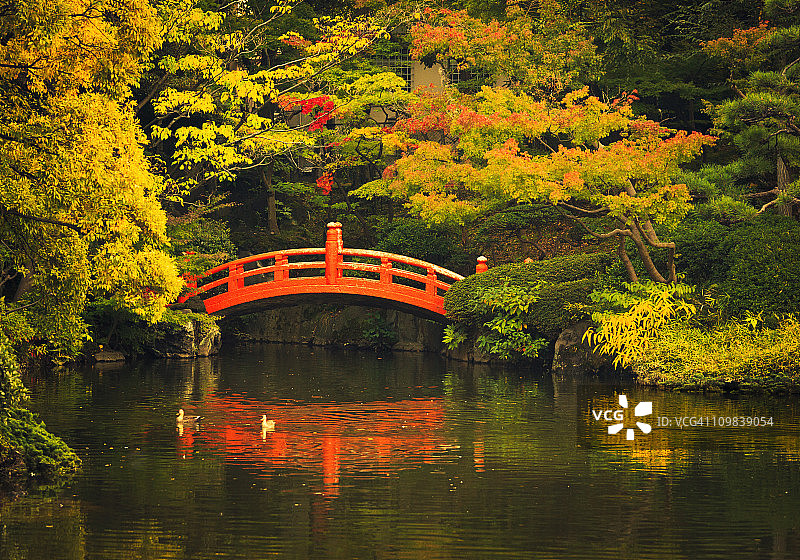 东京的公园图片素材