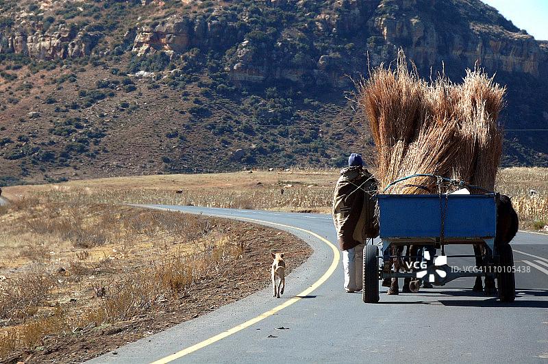 孤独的男人和他的狗拉着驴车图片素材