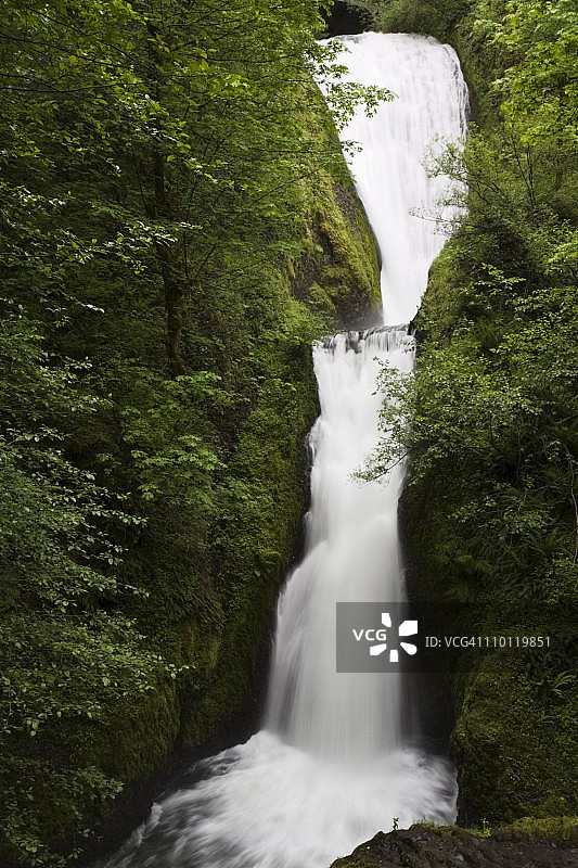 美国俄勒冈州哥伦比亚河峡谷的新娘面纱瀑布图片素材