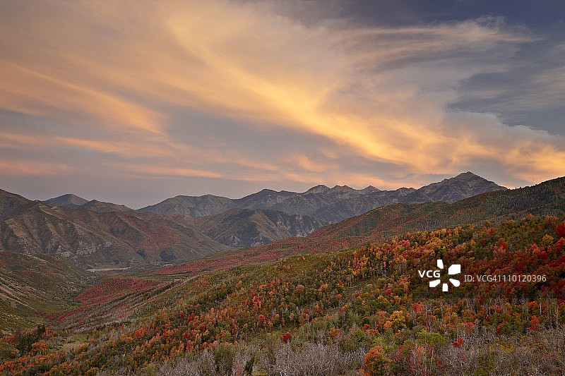 日落时分犹他州Uinta国家森林的橙色云彩与橙红色枫树图片素材