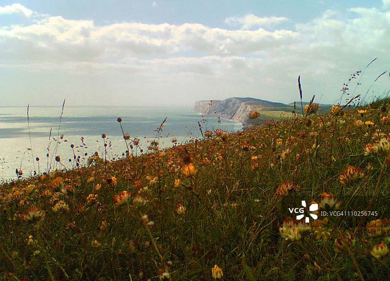 通往丁尼生丘陵图片素材