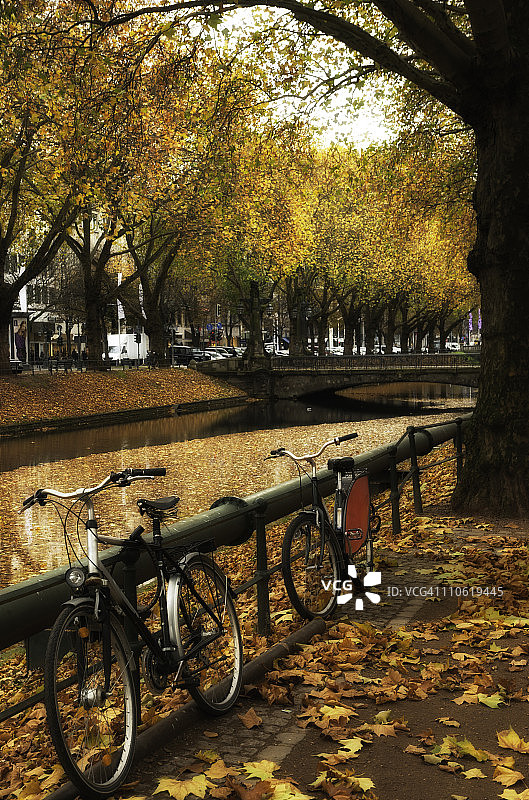 杜塞尔多夫国王大道上的秋天图片素材