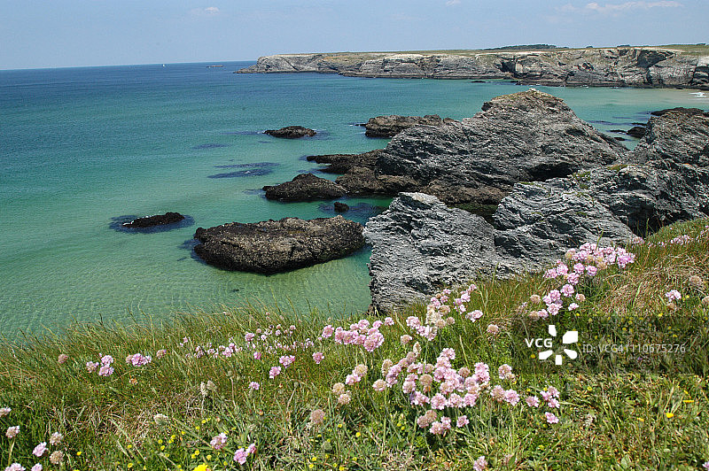 狂野海岸图片素材