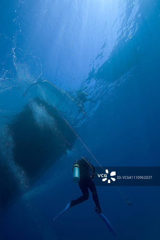 潜水员、黄貂鱼城，埃及沙姆沙伊赫红海图片素材
