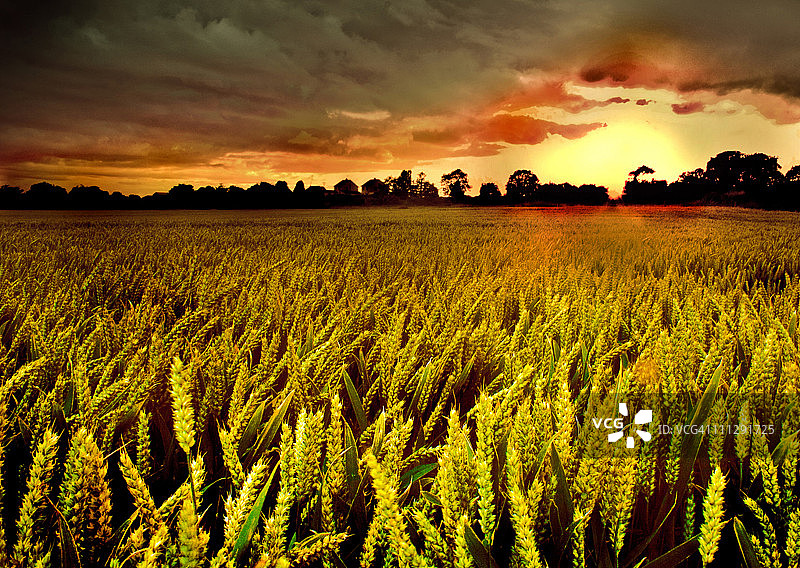 Tullyesker太阳图片素材