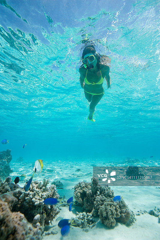 大溪地浮潜度假图片素材