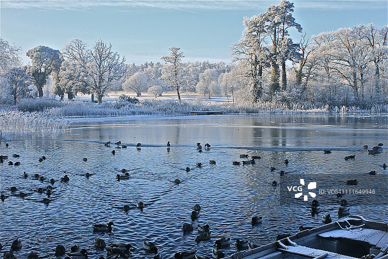 冬季的德罗莫兰湖图片素材
