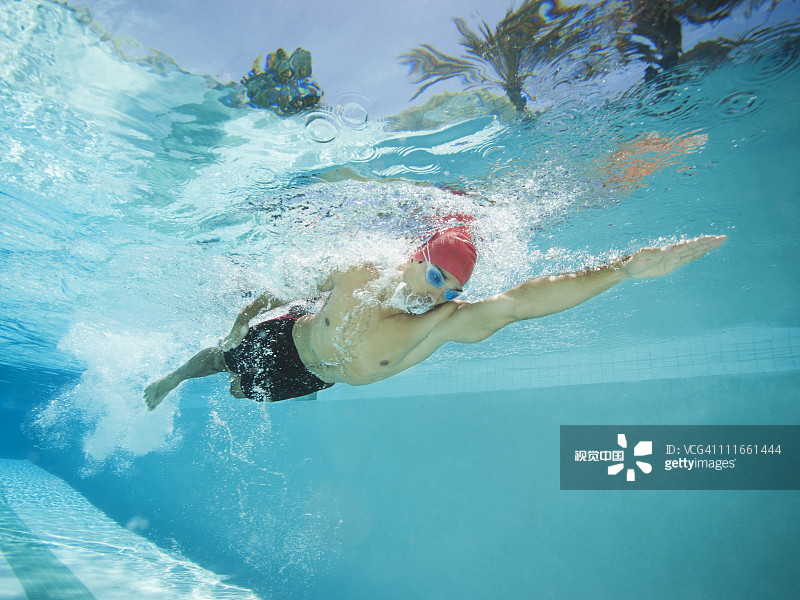 在游泳池里游泳的混血男人图片素材