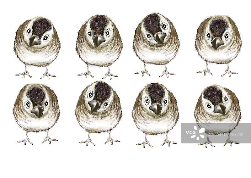 日式绘画图案：树麻雀图片素材