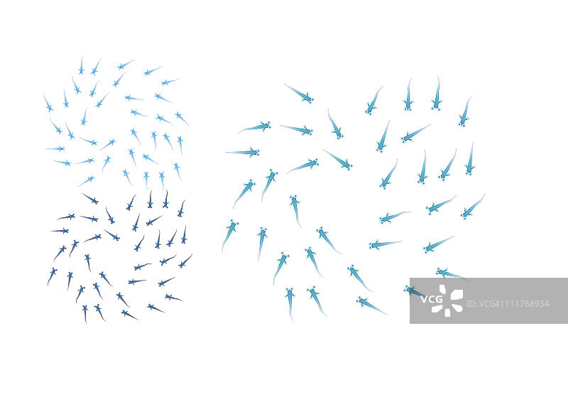 日本画风格的鳉鱼图案图片素材