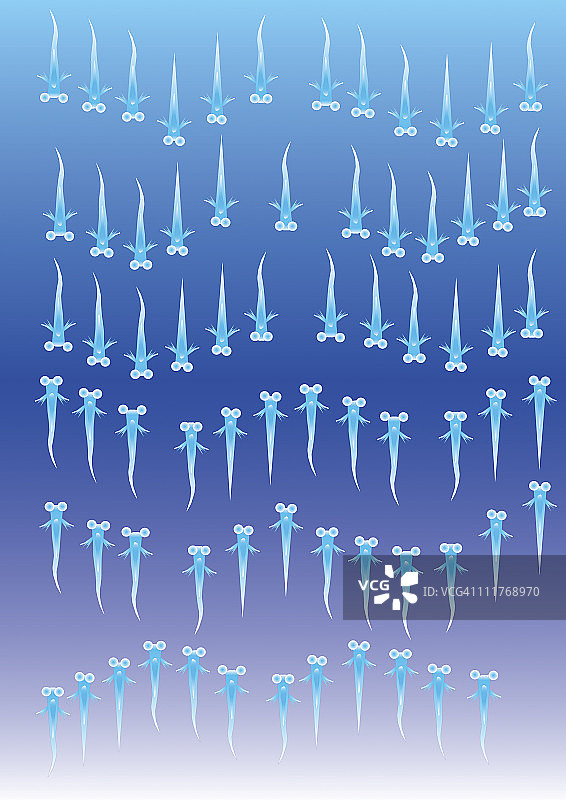 日本画风格的鳉鱼图案图片素材