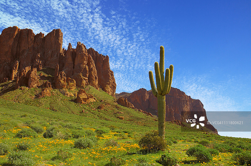 探矿者的视角图片素材