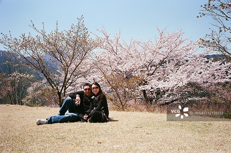背景是樱花的夫妇图片素材