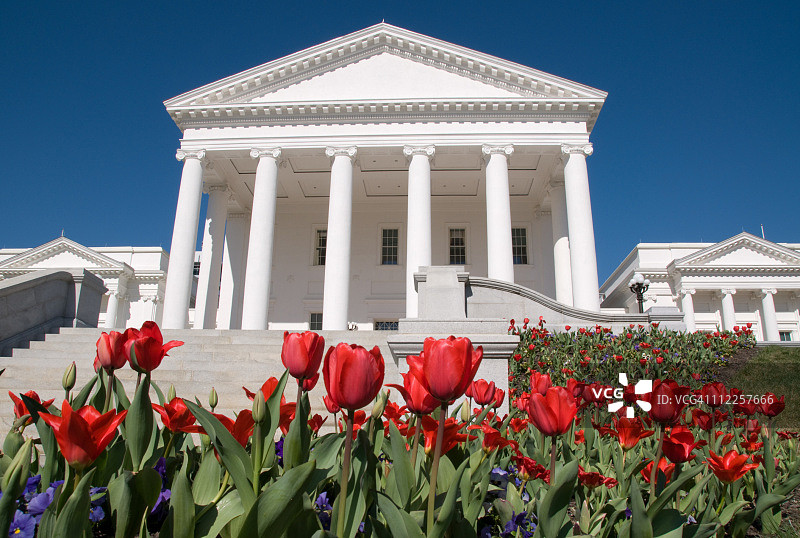 弗吉尼亚州议会大厦前的郁金香图片素材