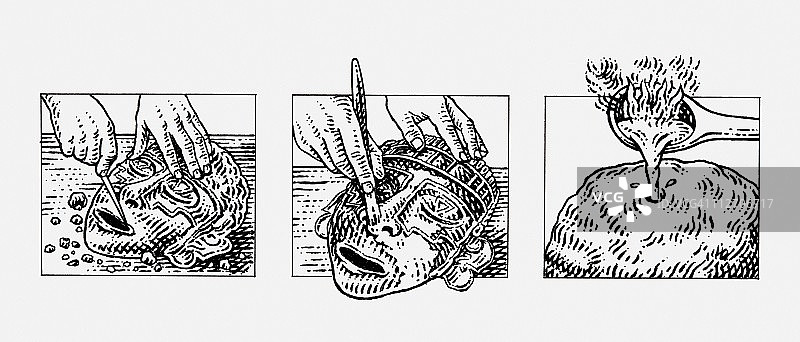 阿兹特克黄金面具制作黑白插画系列图片素材