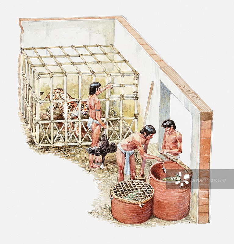 奴隶喂养笼中动物插画图片素材