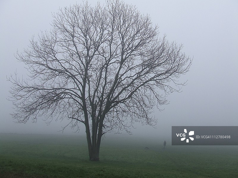 英国冬季风光图片素材