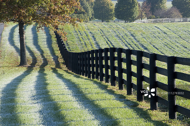 清晨的栅栏与阴影图片素材