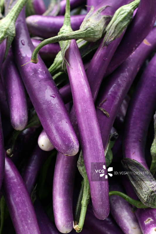 日本茄子图片素材