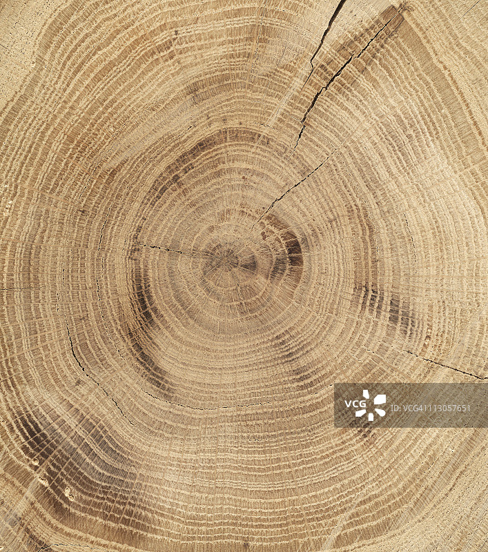 橡木木纹纹理图片素材