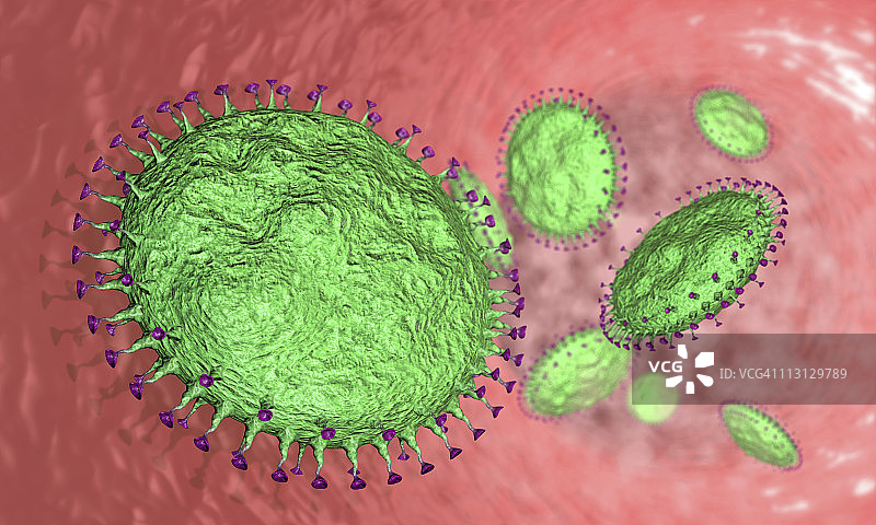 甲型H1N1流感病毒 (3D)图片素材