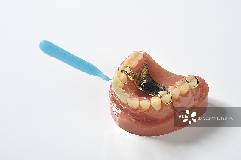 牙齿模型和牙间刷图片素材