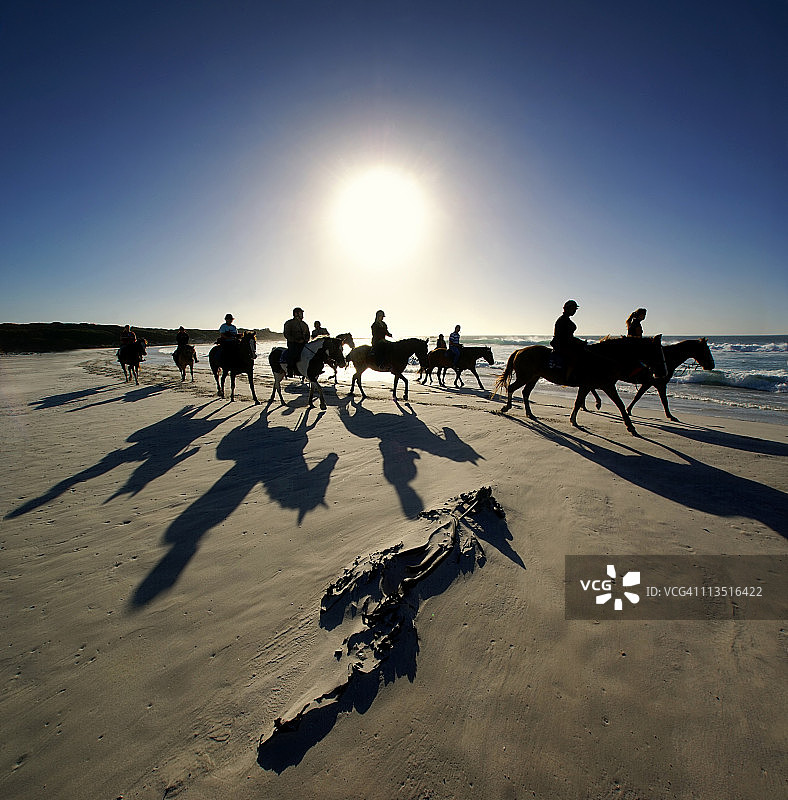 诺德霍克马匹图片素材