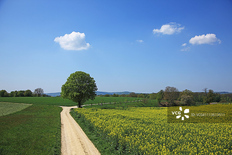 农场景观图片素材
