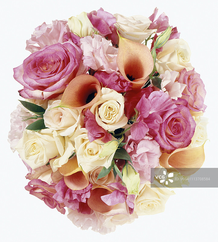 白色背景上的春季花卉剪影图片素材