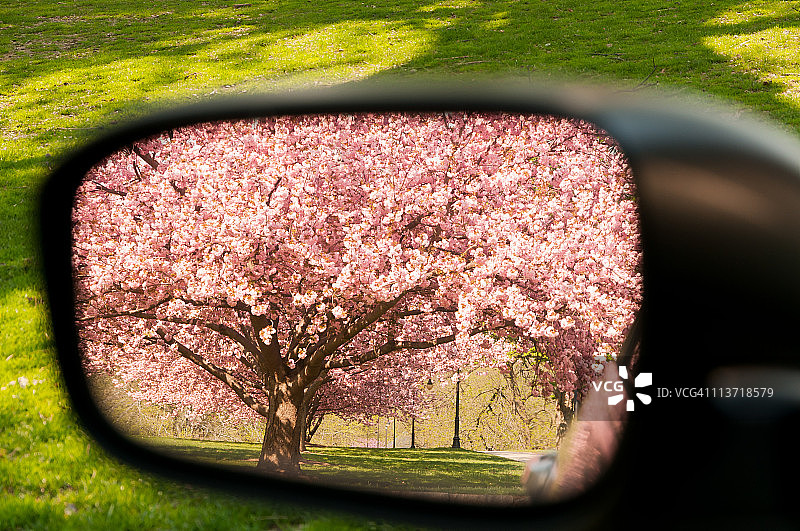 镜中盛开着樱花的巷子图片素材
