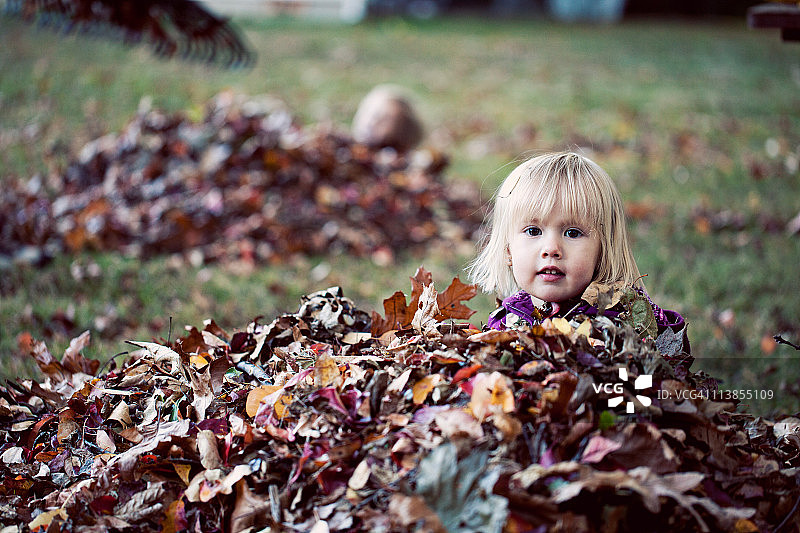 堆积的树叶图片素材