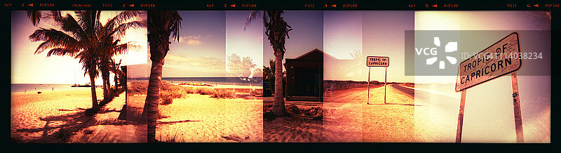 摩羯座热带的猴子米亚图片素材