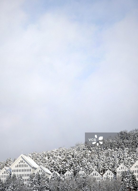 雪中的大学图片素材