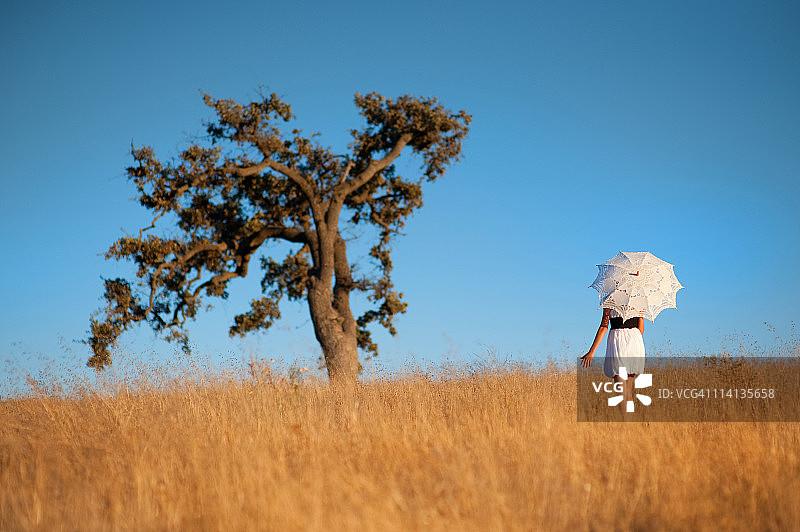 田野里的女孩图片素材