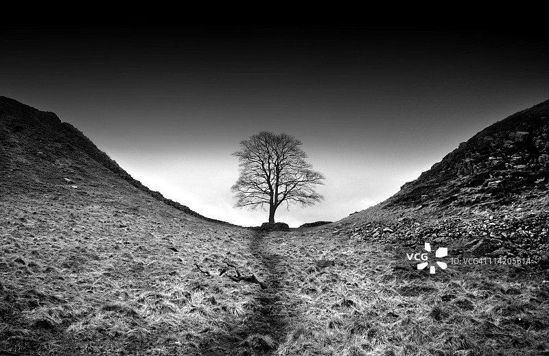 经常走的小路图片素材