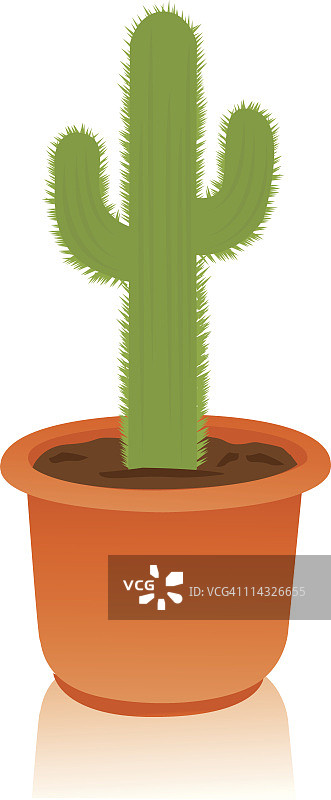 仙人掌图片素材