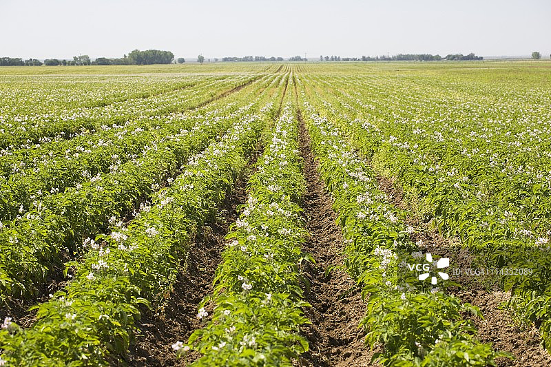 加拿大阿尔伯塔省图片素材