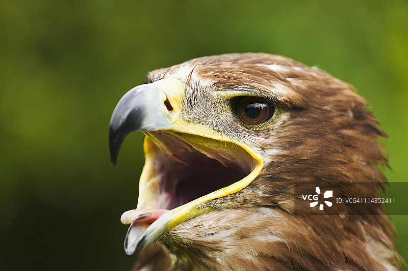 温德米尔湖，坎布里亚，英格兰图片素材