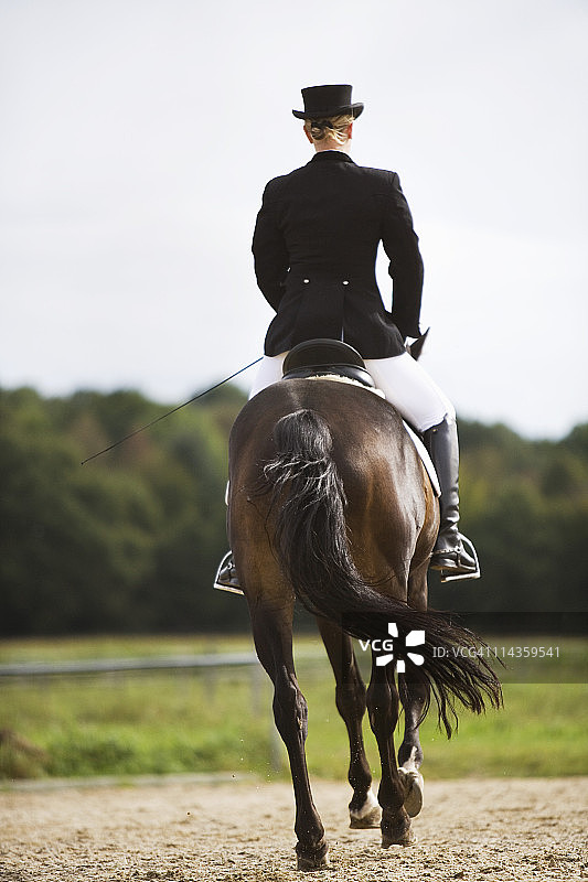 女盛装舞步骑手训练背影图片素材
