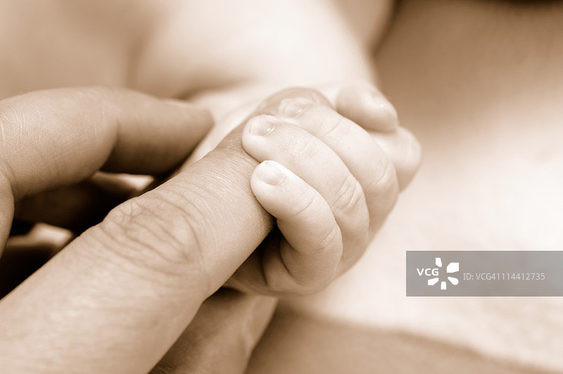 婴儿的手握住成人的手指图片素材