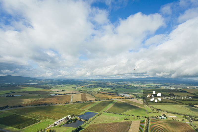 亚拉河谷葡萄园上空的热气球飞行图片素材